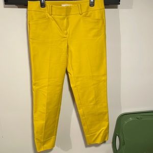 Loft Marissa Pant - 8